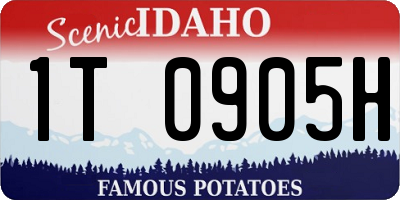 ID license plate 1T0905H
