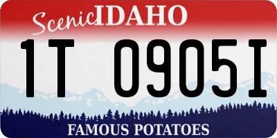 ID license plate 1T0905I