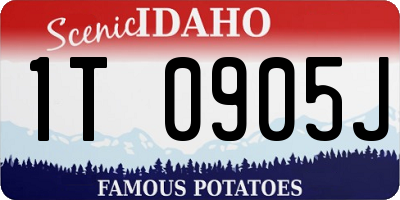 ID license plate 1T0905J