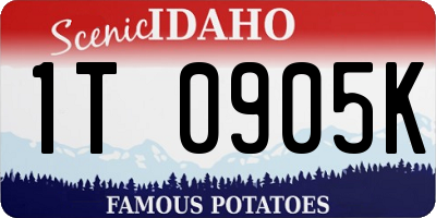 ID license plate 1T0905K