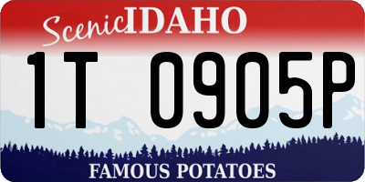 ID license plate 1T0905P