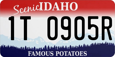 ID license plate 1T0905R
