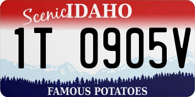 ID license plate 1T0905V