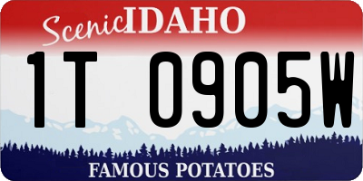 ID license plate 1T0905W