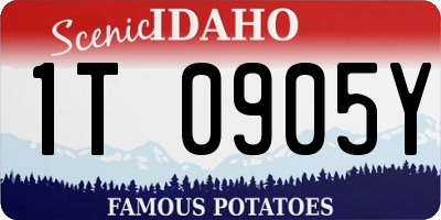 ID license plate 1T0905Y