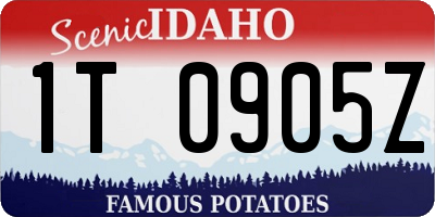 ID license plate 1T0905Z