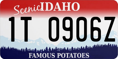 ID license plate 1T0906Z
