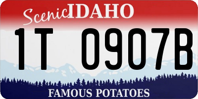ID license plate 1T0907B