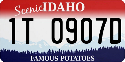 ID license plate 1T0907D