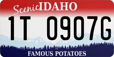 ID license plate 1T0907G