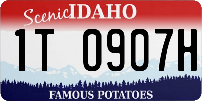 ID license plate 1T0907H