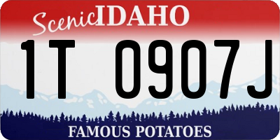 ID license plate 1T0907J