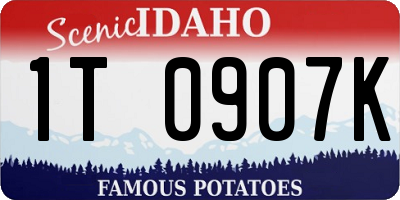 ID license plate 1T0907K