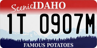 ID license plate 1T0907M