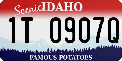 ID license plate 1T0907Q