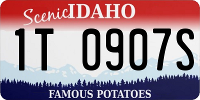 ID license plate 1T0907S