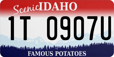 ID license plate 1T0907U