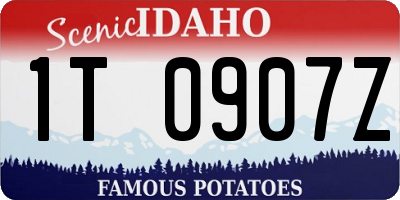 ID license plate 1T0907Z