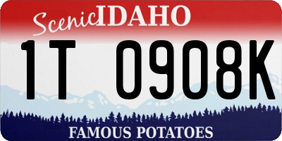 ID license plate 1T0908K