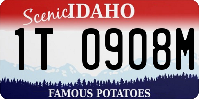ID license plate 1T0908M