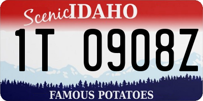 ID license plate 1T0908Z
