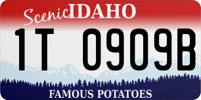 ID license plate 1T0909B