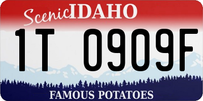 ID license plate 1T0909F