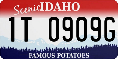 ID license plate 1T0909G