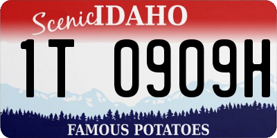 ID license plate 1T0909H
