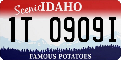ID license plate 1T0909I