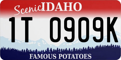 ID license plate 1T0909K