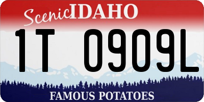 ID license plate 1T0909L