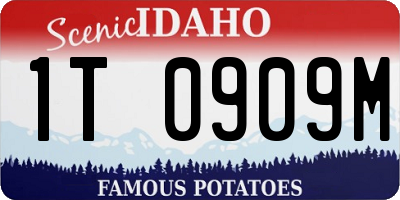ID license plate 1T0909M