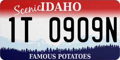 ID license plate 1T0909N