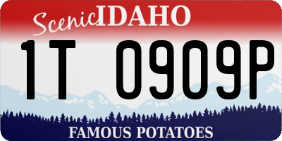 ID license plate 1T0909P