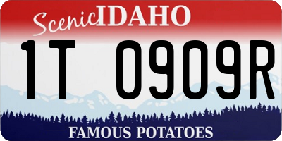 ID license plate 1T0909R