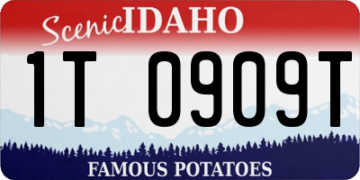 ID license plate 1T0909T