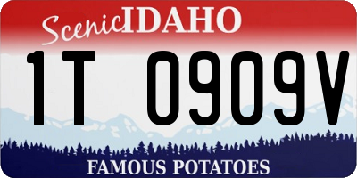 ID license plate 1T0909V
