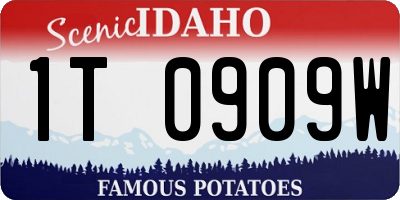 ID license plate 1T0909W