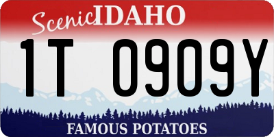ID license plate 1T0909Y