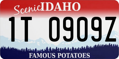 ID license plate 1T0909Z