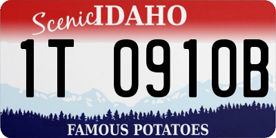 ID license plate 1T0910B