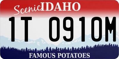 ID license plate 1T0910M