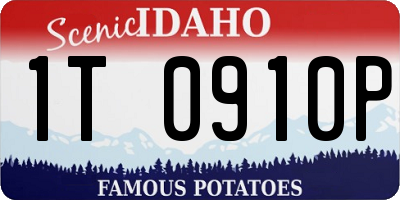 ID license plate 1T0910P