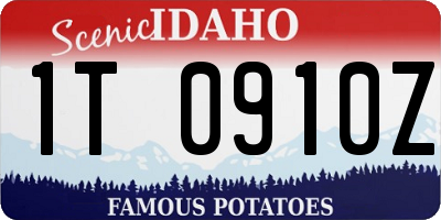 ID license plate 1T0910Z
