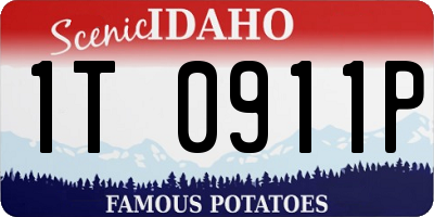 ID license plate 1T0911P