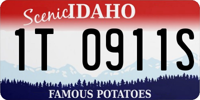 ID license plate 1T0911S