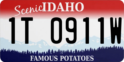 ID license plate 1T0911W