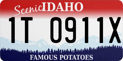 ID license plate 1T0911X