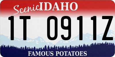 ID license plate 1T0911Z
